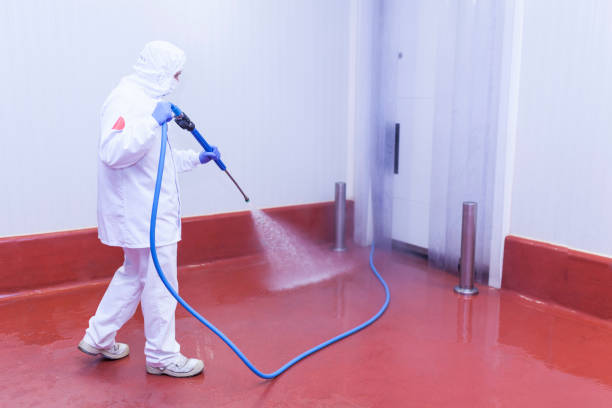 Boat and Dock Cleaning in Oroville East, CA